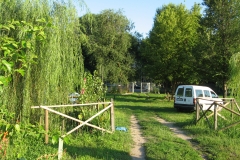 Immagine 003 Immagine 003